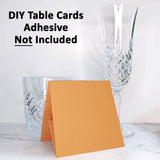 12 Pack - Kraft Brown DIY Table Tent Card