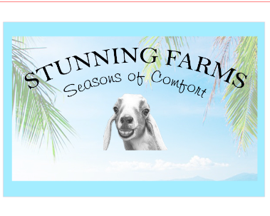 4-in-1 Fun In The Sun (6 oz) Summer Labels